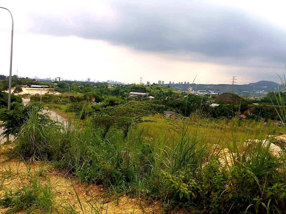Flat lot for sale Vera Estate Tawason Mandaue City Near Ateneo de Cebu
