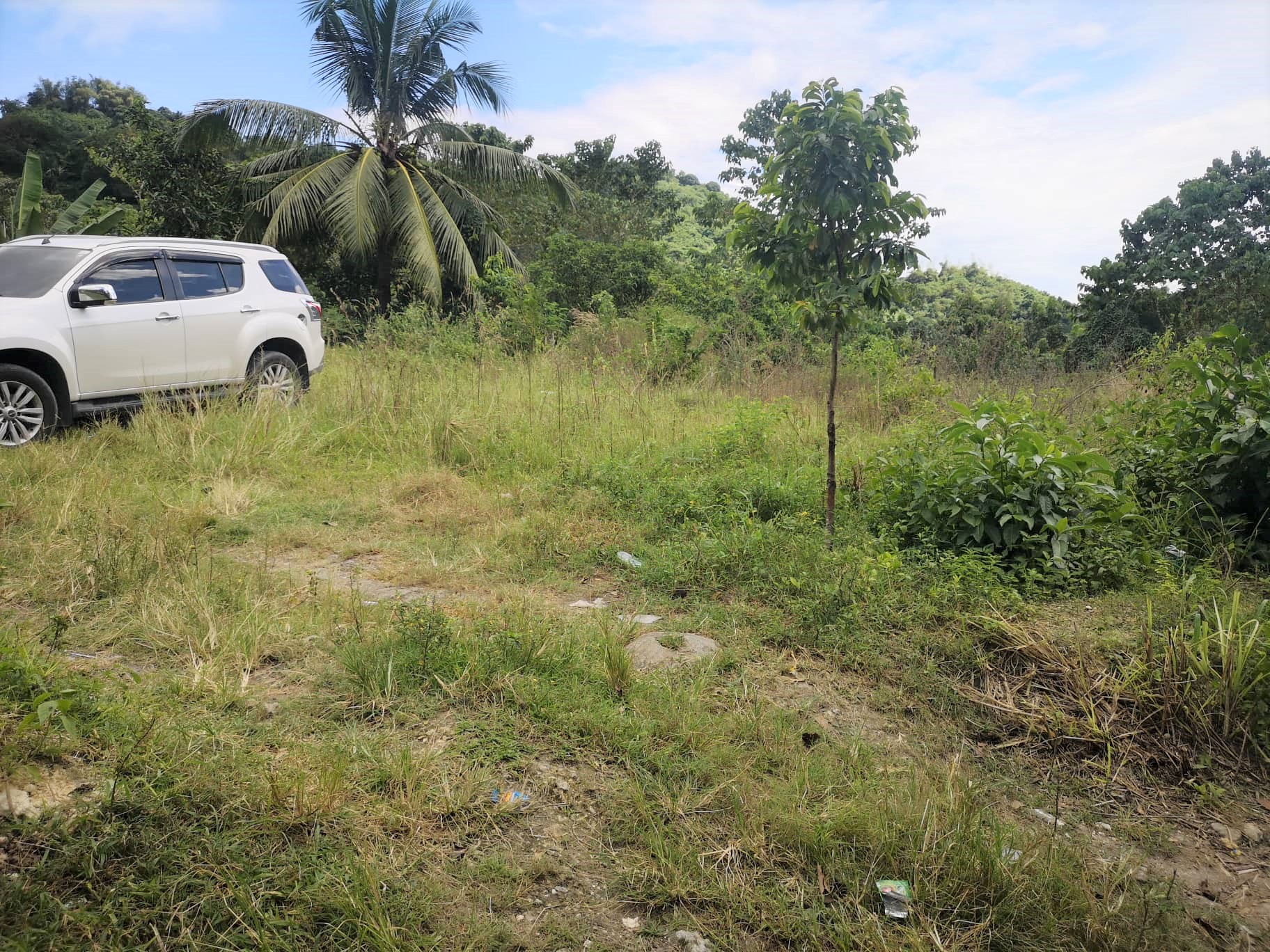 Overlooking lot for sale Talamban Cebu City open for developers