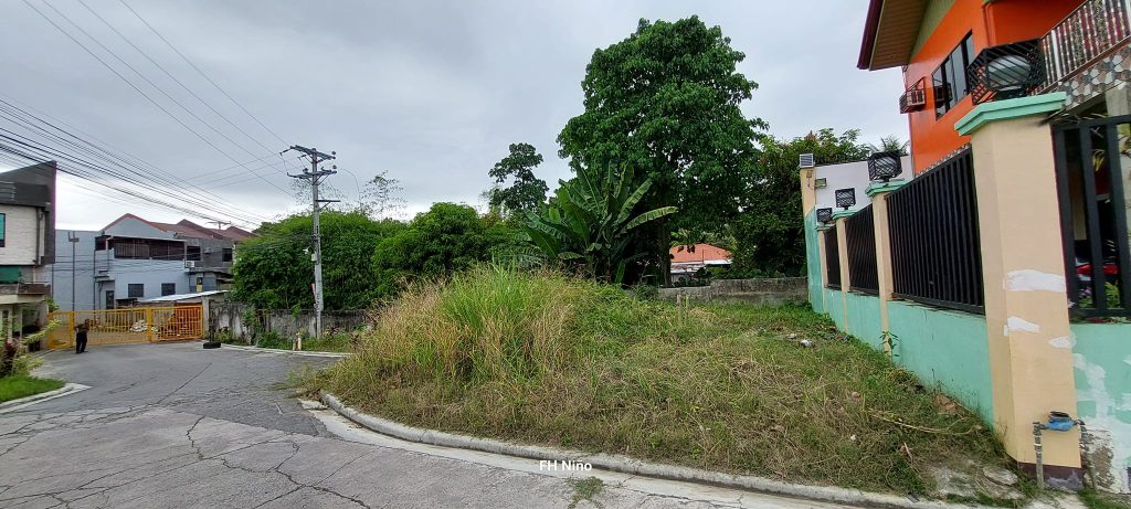 Corner Lot for Sale in Tigbao