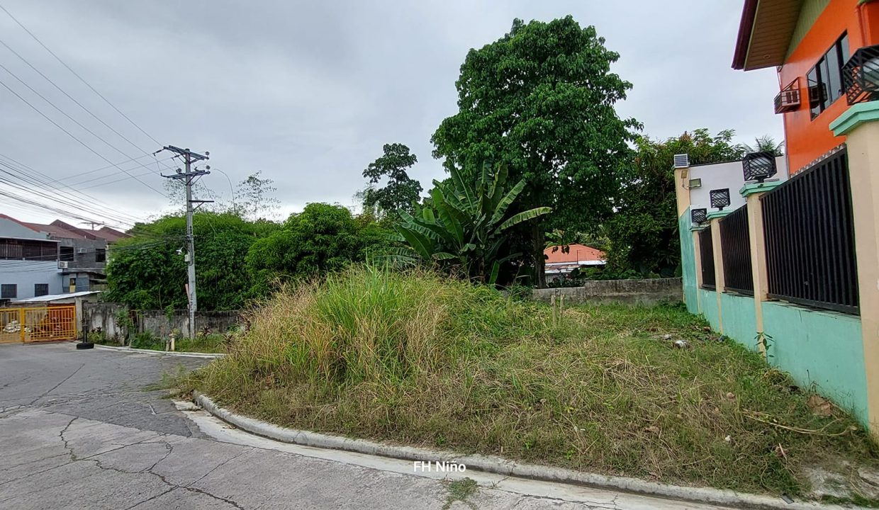 Corner Lot for Sale in Tigbao