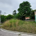 Cornet Lot for SALE in Talamban, Cebu City