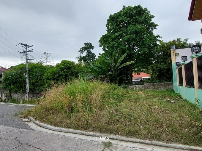 Corner Lot for Sale in Tigbao