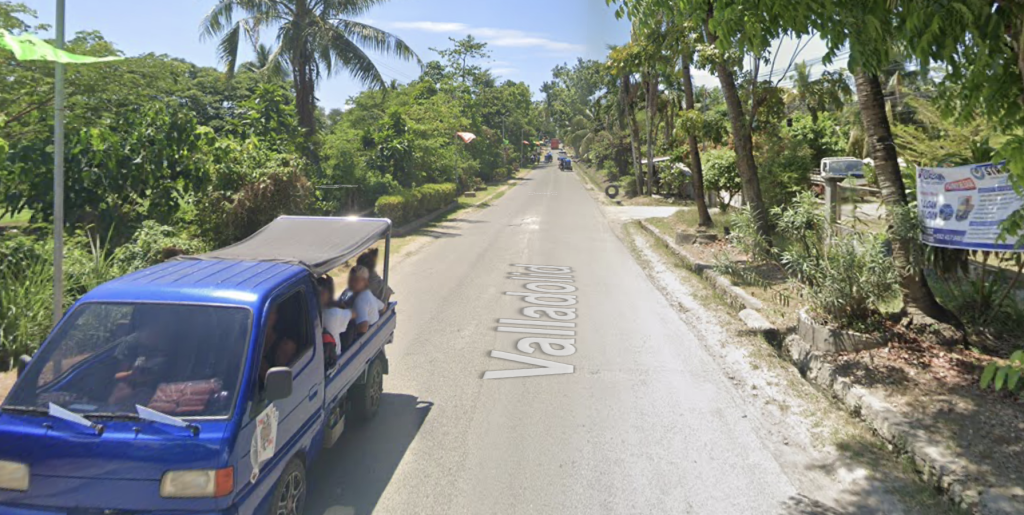 Lot for Sale Valladolid, Carcar Cebu, Near Citi Hardware Carcar