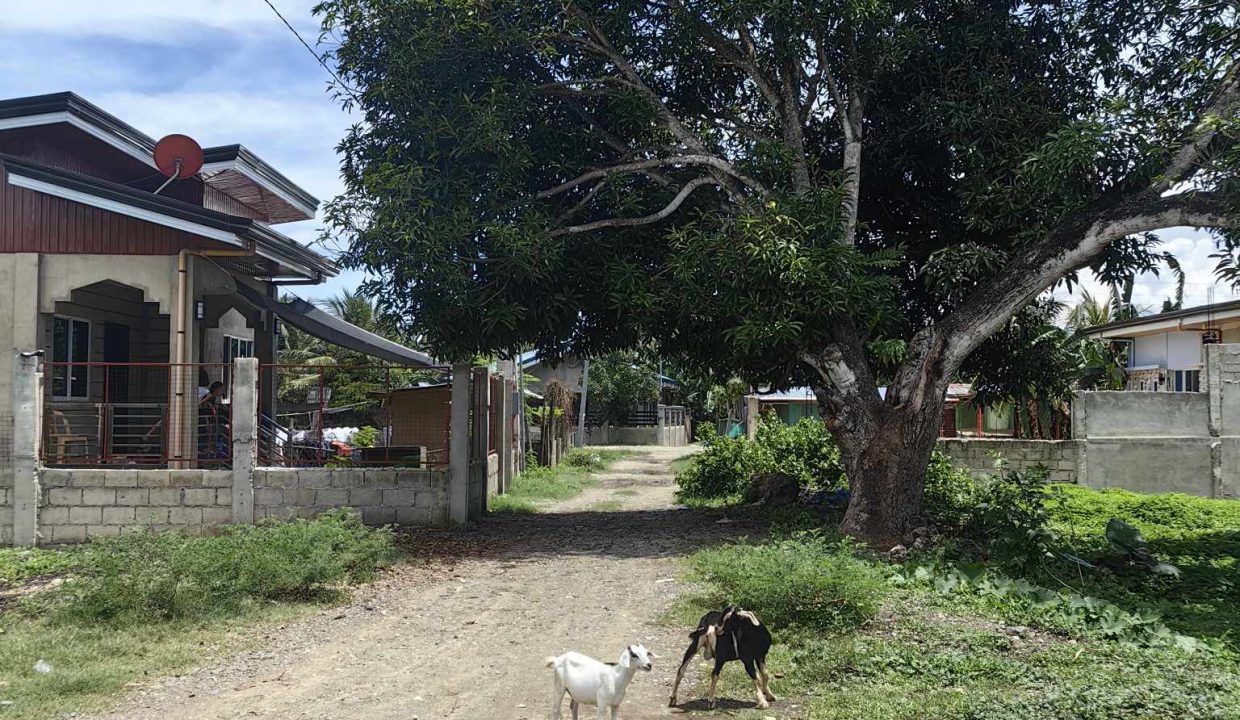 Lot for Sale in Cantuod Balamban Cebu