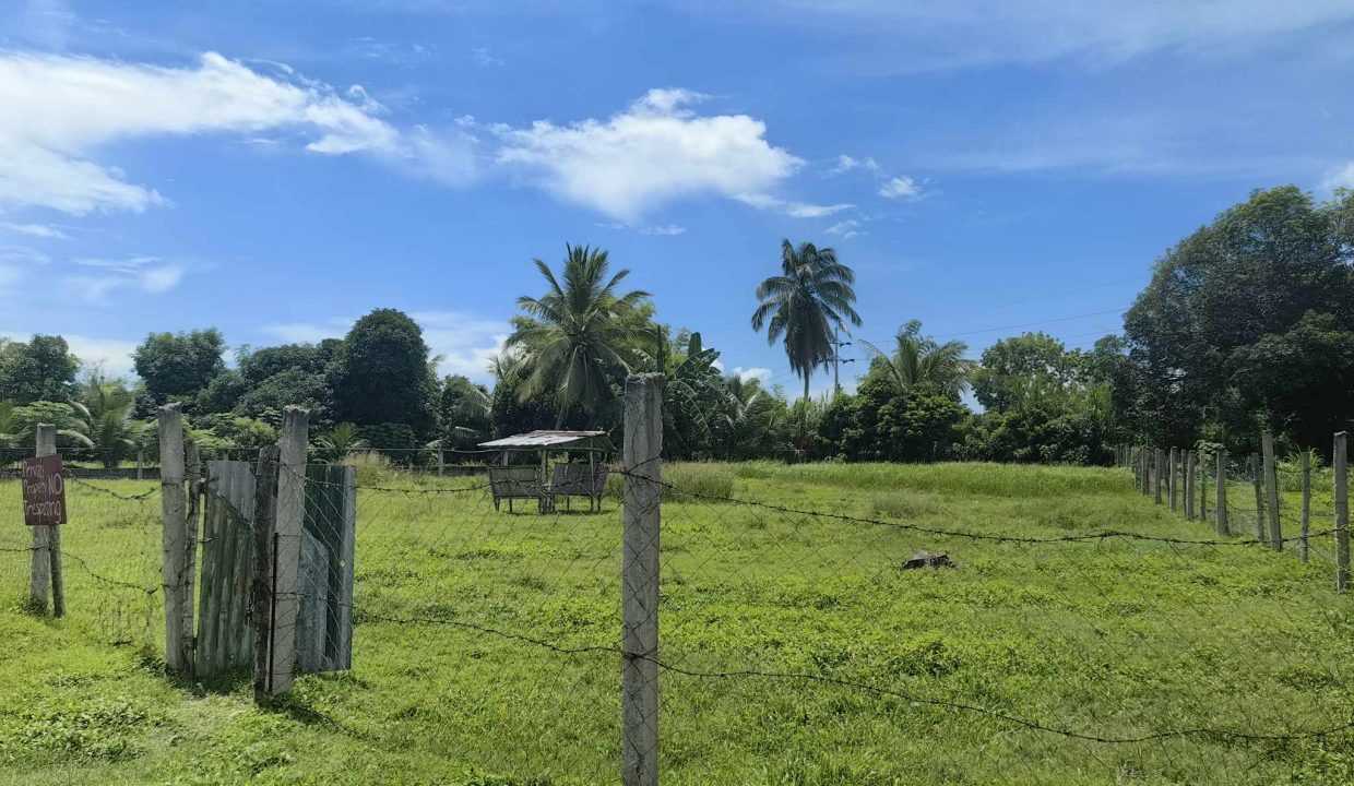 Lot for Sale in Cantuod Balamban Cebu