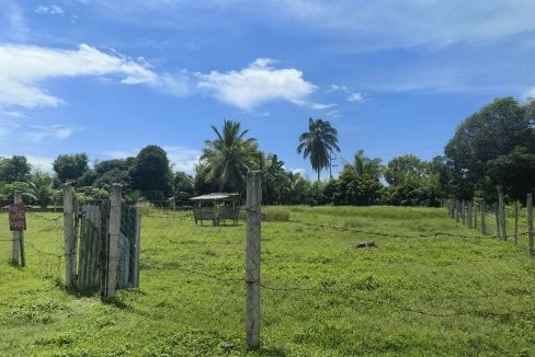 Lot for Sale in Cantuod Balamban Cebu