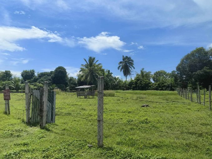 Lot for Sale in Cantuod Balamban Cebu