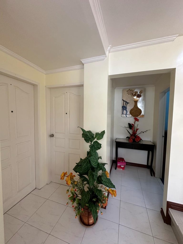 House and Lot for Sale in Deca Minglanilla, Cebu