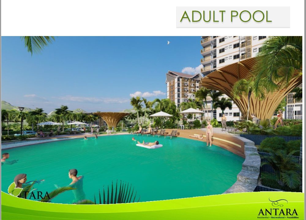 amenity adult pool