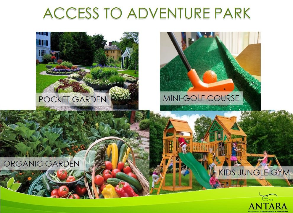 amenity adventure park