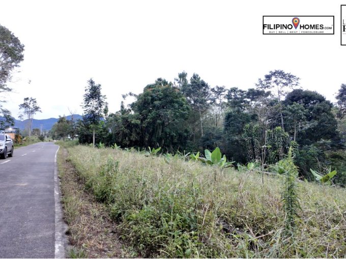 Lot for SALE in Mampayag, Manolo Fortich, Bukidnon