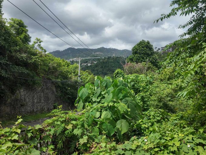 Lot for SALE in Maria Luisa, Banilad, Cebu City